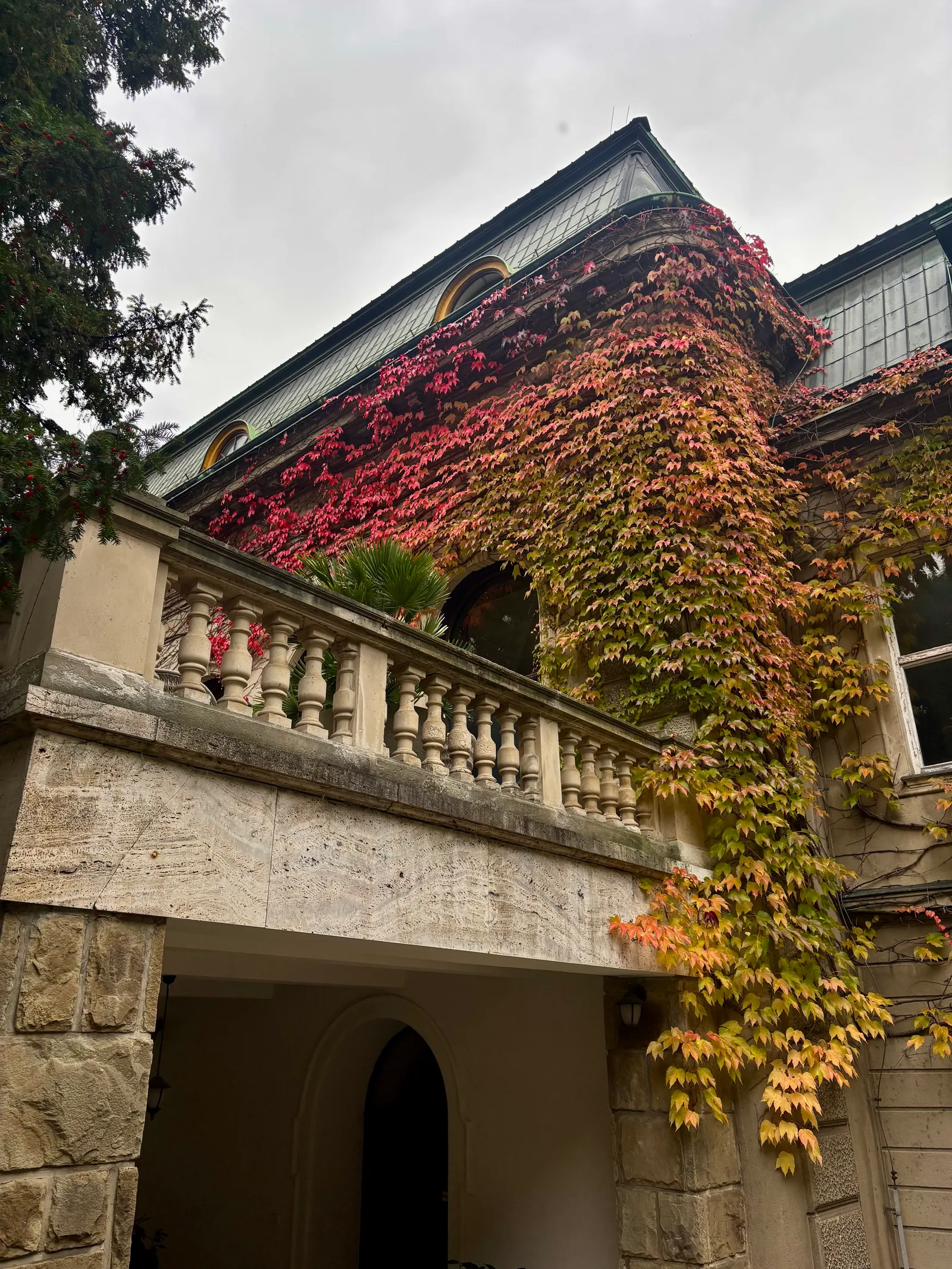 Vila Engelsmann – No Limit Art experiential studio in Brno